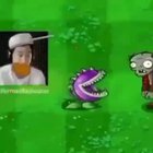 I like plants vs. zombies