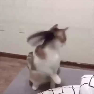Derpy enough?