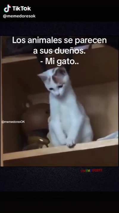☠️