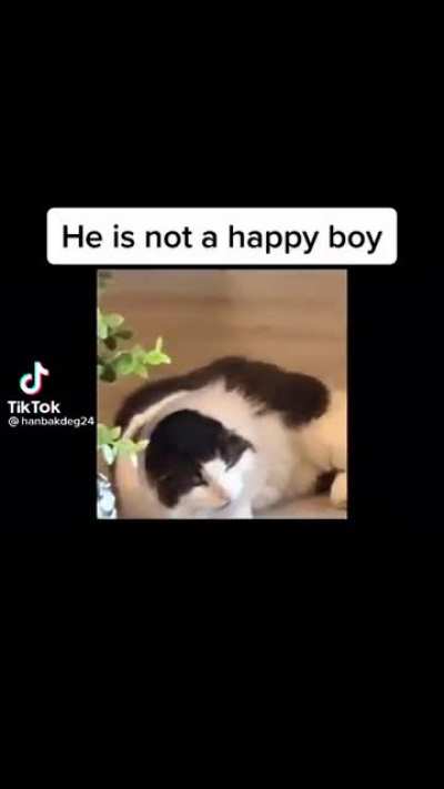 He's not a happy boy