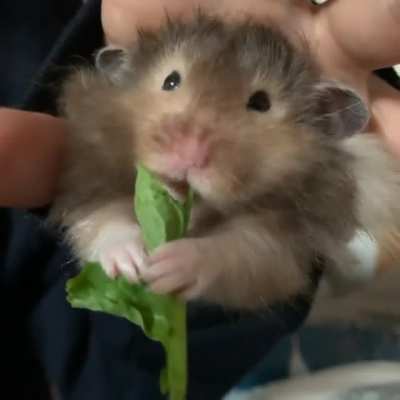 Sleeve snack! Look at his little haaaaanddssss