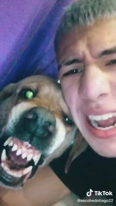 Matey