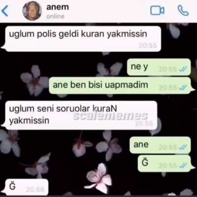 aNe Ğ