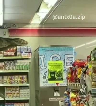 godsila