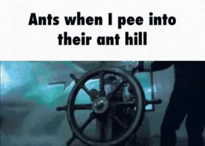 rule