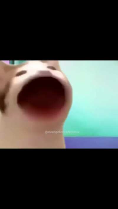 ð±ð±