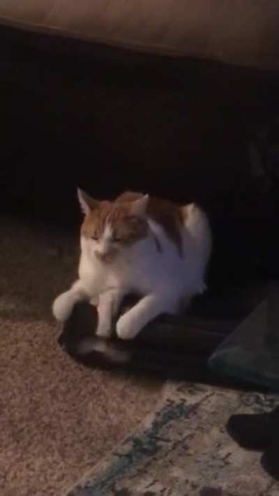 The toy is not working as advertised