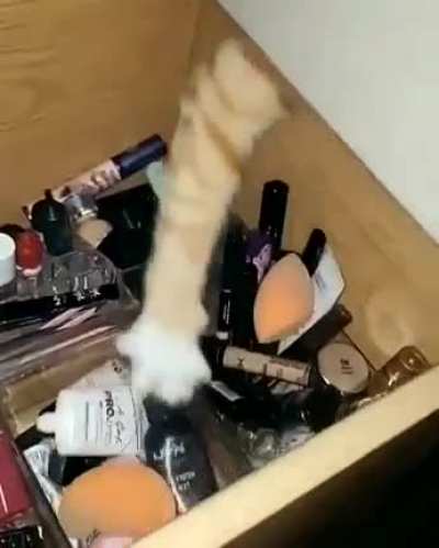 Touch allll of tha makeup