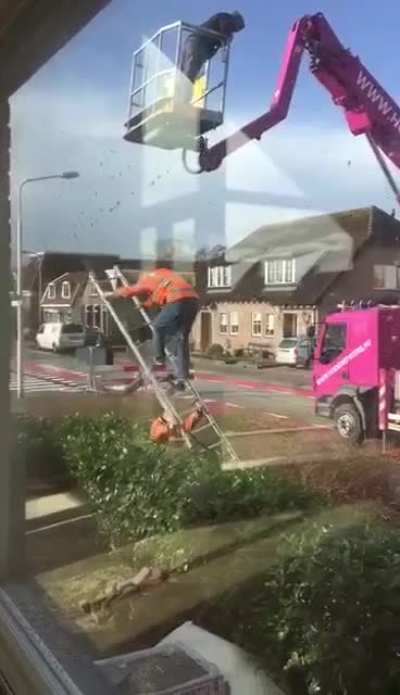 Using a ladder to get down is best