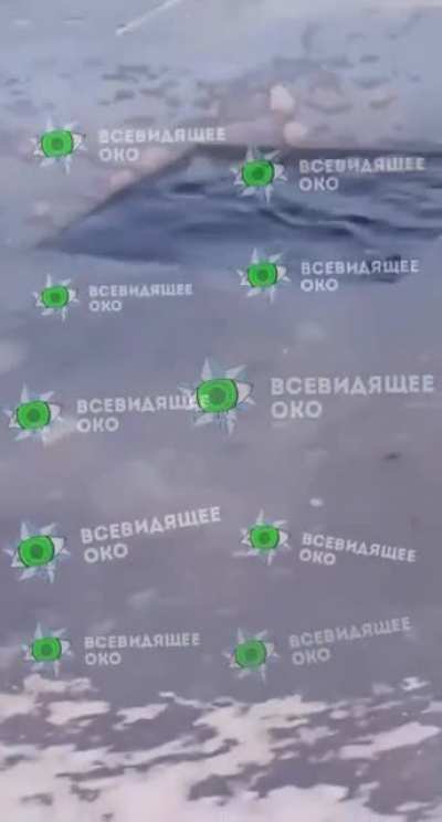 Guy dives and never comes back. His wife is filming.