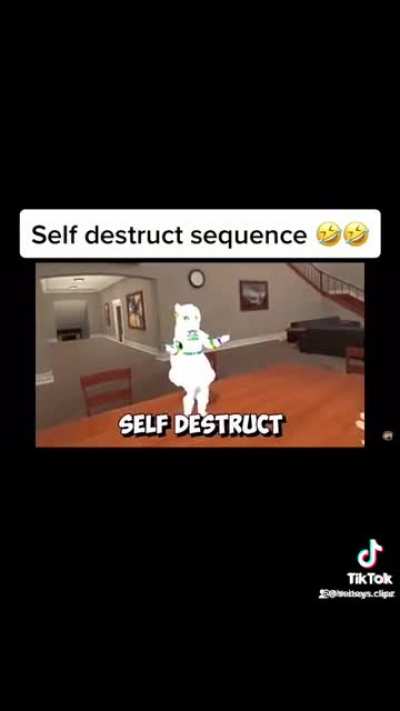 Initiating Self destruct sequence