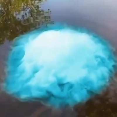 turning bubble into a z-move be like: