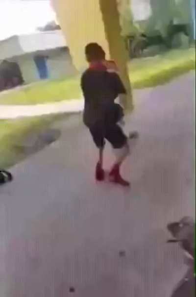 Schoolboy takes down 'bully' using textbook MMA skills