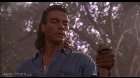 Remember that time Jean-Claude Van Damme punched out a snake?