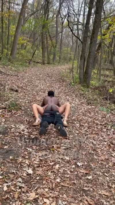 Hubby got to watch as my new African Bull planted his seed in the middle of the trail…