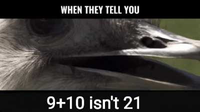 Lies I tell you lies