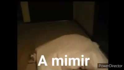 Gato: Fui tapeado
