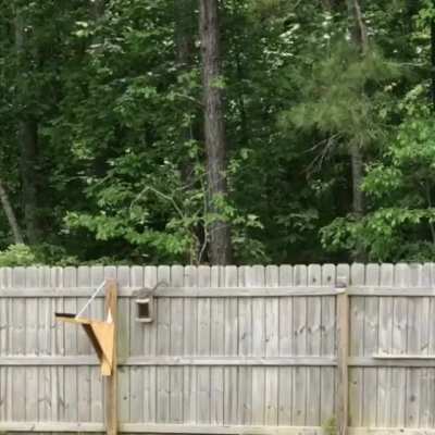 Worked perfectly