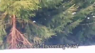 To catch a professional ski instructor