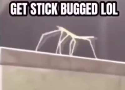 lol