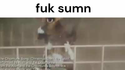 Vultures On Shuffle
