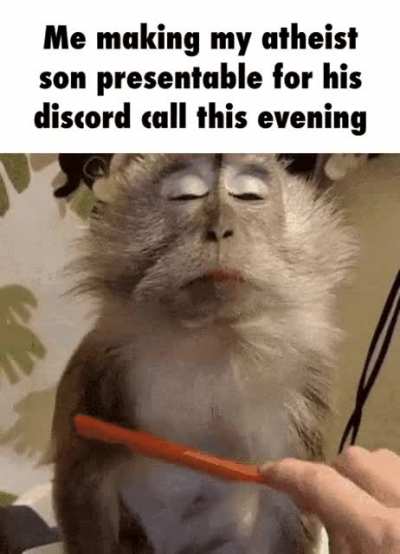 Mokey