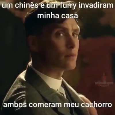 Comer cachorro