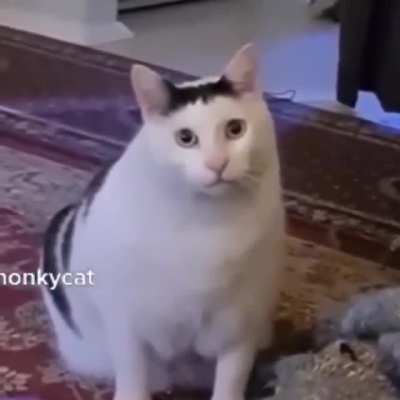 No you
