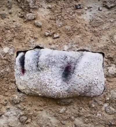 Don't put your dick in the rockussy
