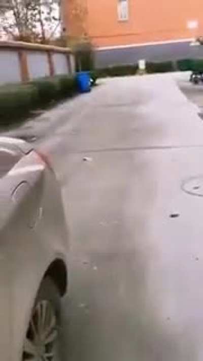 Safest backup camera out there.