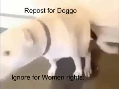 Do it for doggo