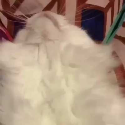 Классический незапланированный кусь