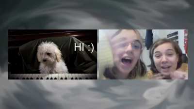 Puppy jumpscare :)
