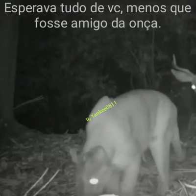 Não acredito ... Como você foi capaz disso ;(