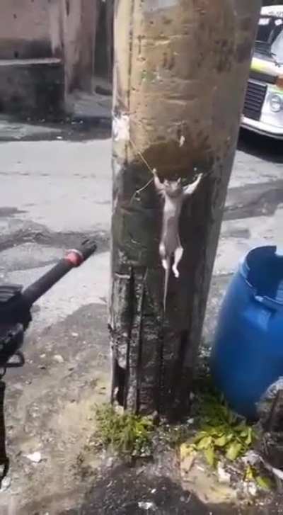 um dia normal no RJ