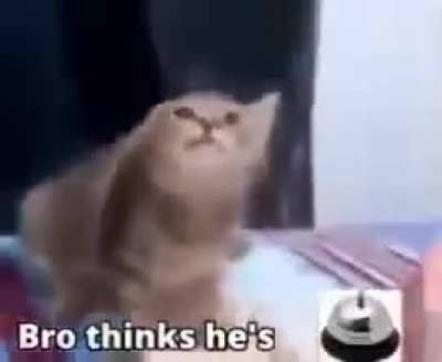 🔔