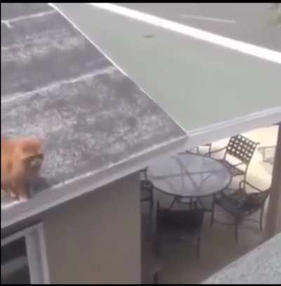 Didn’t stick the landing
