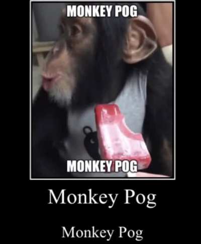 He's poggin' 🐵😯