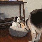 This is mine!!!