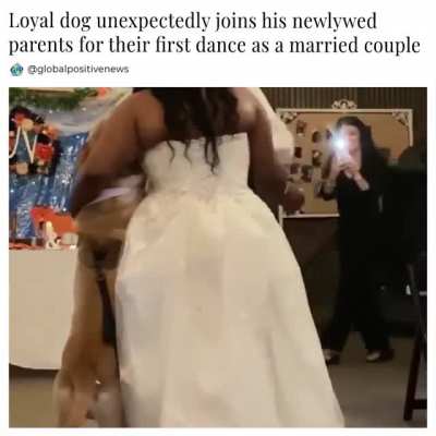 A newlywed couple was enjoying their first dance when suddenly someone unexpectedly joined them.