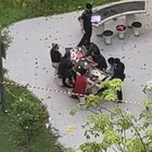 What could go wrong if i hold a picnic during CB