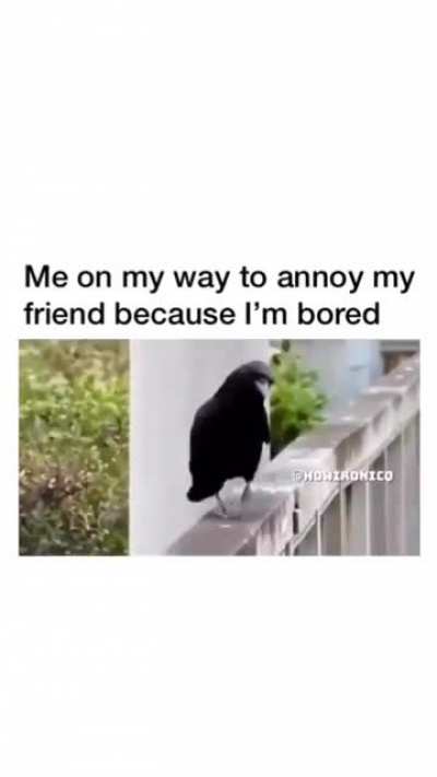 I'm on the way