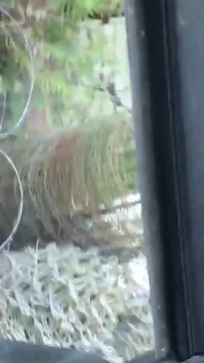 Found this video of me freaking out because of a spider