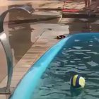 WTF he was doing!