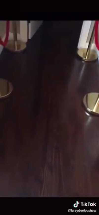 The stairs
