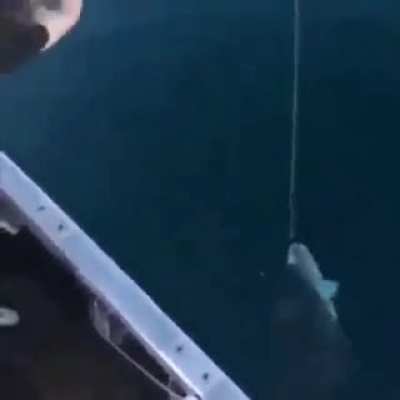 Russian Fishing 🎣