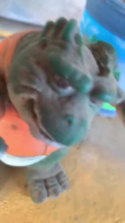 Igualito 