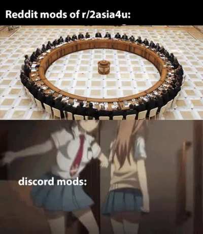 the discord is wild