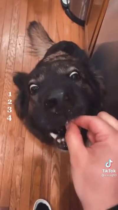 That side eye when he finally realizes