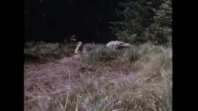 heart pounding suspense